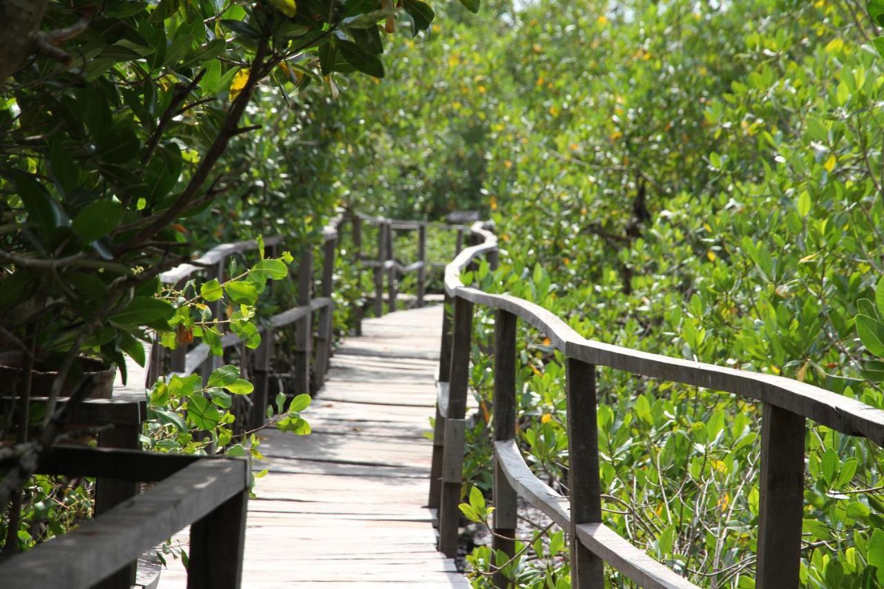 Bintang Bolong Lodge Zewnętrze zdjęcie